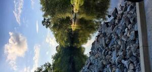 [Naylor Boat Ramp]
