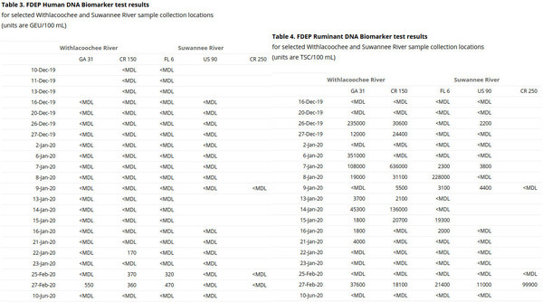 Human and Ruminant DNA markers