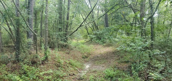 [Looks more like a road]