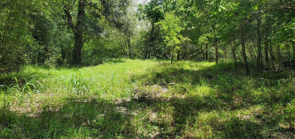 Sewer easement