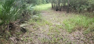 [Likely road east to easement]