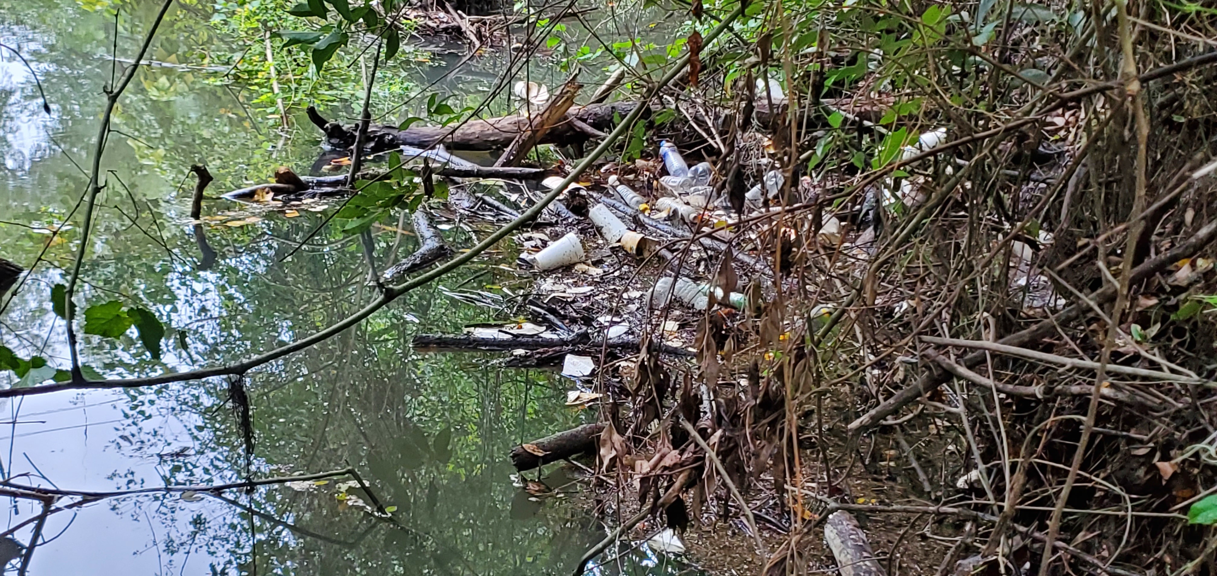 More trash