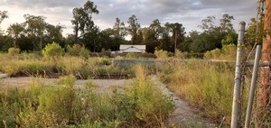 [Pool or foundations]