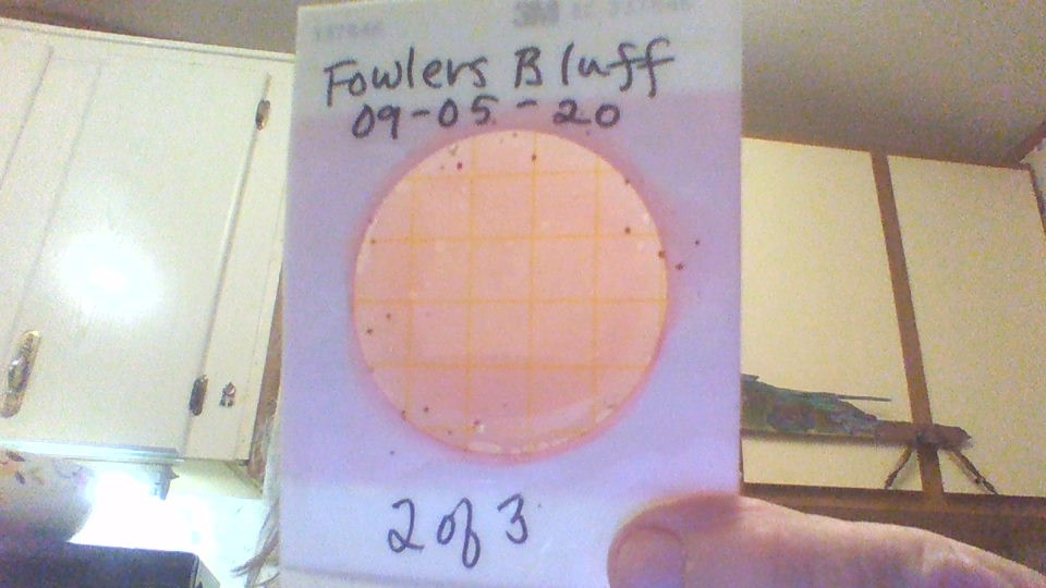 Fowlers Bluff 2