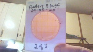 [Fowlers Bluff 2]