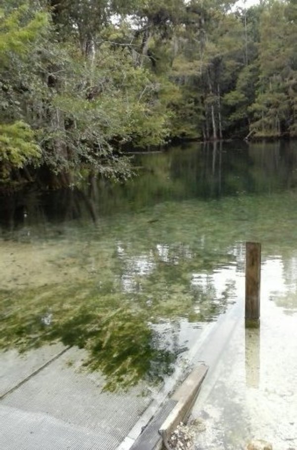 [Manatee Springs State Park Launch 2020-09-14]
