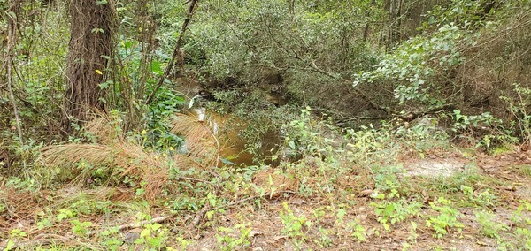 Lanes Mill Creek, 09:37:40, 30.675513, -83.350881