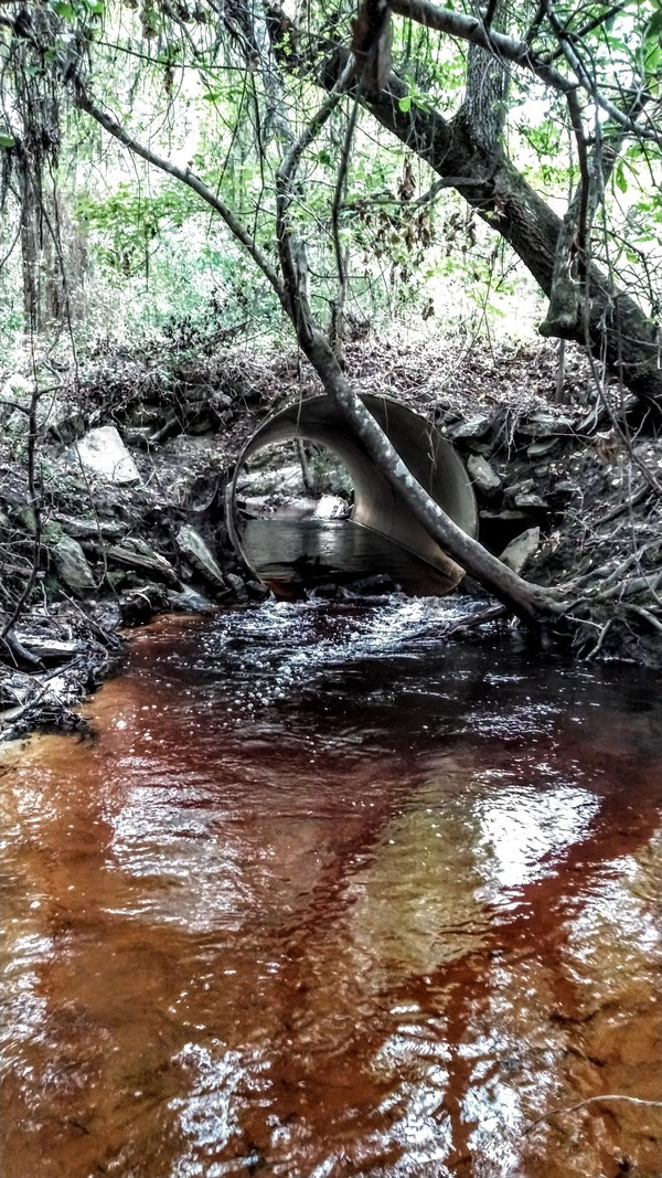 [Culvert, Clyatt Mill Creek RR]