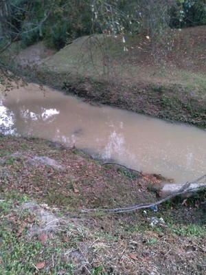 [Muddy]