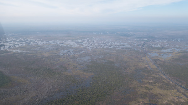 [West from ONWR HQ down Suwannee Canal, 30.728558, -82.151741]