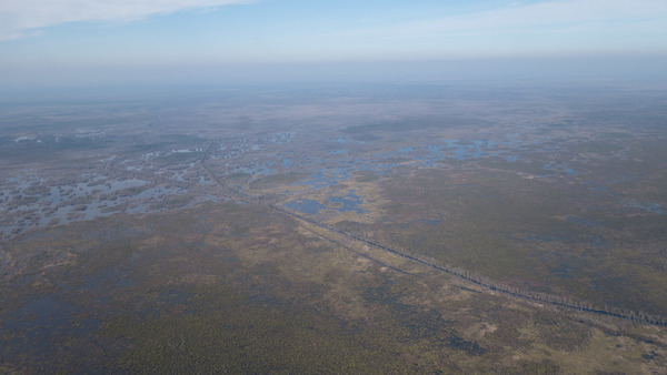 NW: Suwannee Canal to Cedar Hammock, 30.731154, -82.154821