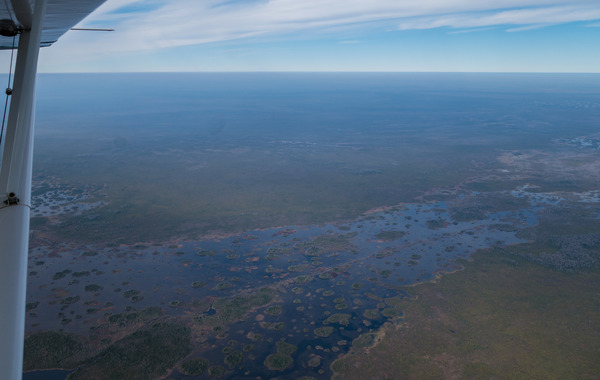 [W: Buzzards Roost Lake, Monkey Lake Canoe Shelter, 30.679384, -82.190965]