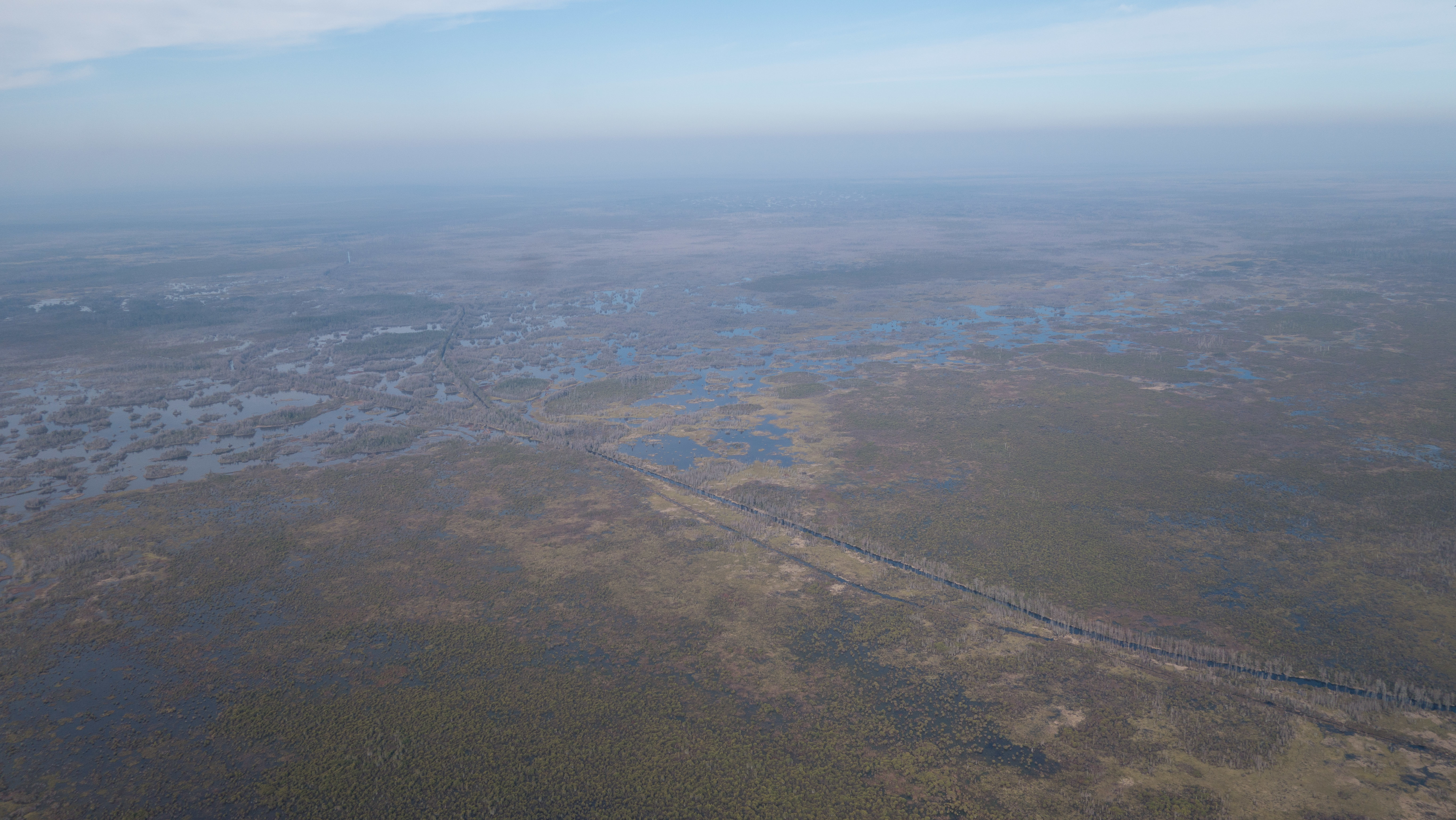 NW: Suwannee Canal to Cedar Hammock, 30.731154, -82.154821