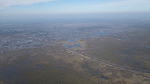 [NW: Suwannee Canal to Cedar Hammock, 30.731154, -82.154821]