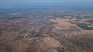 [W: River Styx, Turtle Rd., Blitch Rd., Hog Rd., ONWR, 30.542255, -82.164126]