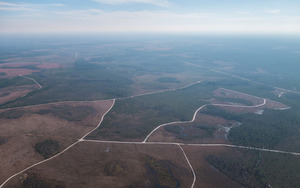 [ESE: River Styx, Swampy Rd., Tony Rd., Boggy Break, Angle Rd., Dusty Rd., TPM mine site, 30.541958, -82.159984]