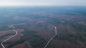 [S: River Styx, Tony Rd., S&T Rd., GA 94, 30.534847, -82.159716]