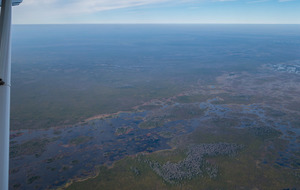 [NW: Big Cypress Camp Island, Little Cooter Lake, 30.682969, -82.200123]