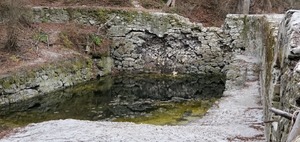 [Spring pool]