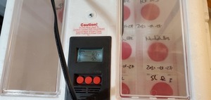 [Incubator; it went down to 95F]