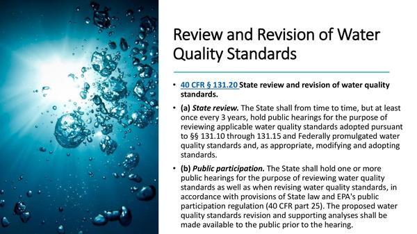 State review and public participation