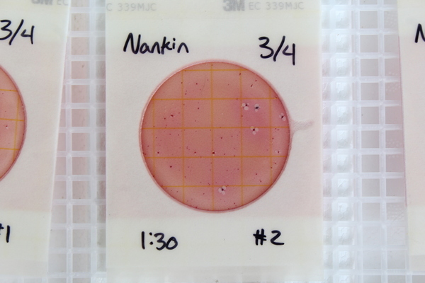Nankin #2