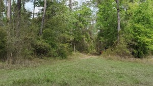 [Vanished, 15:13:29, 30.7894396, -83.4512131]