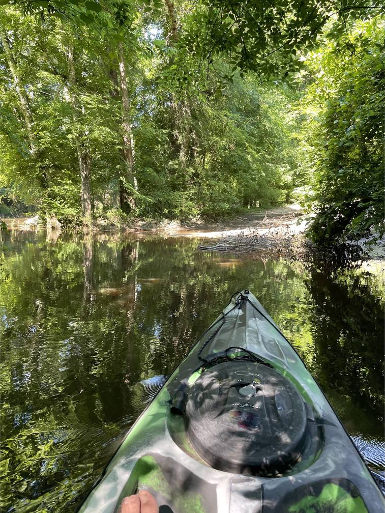 View of the access from the river