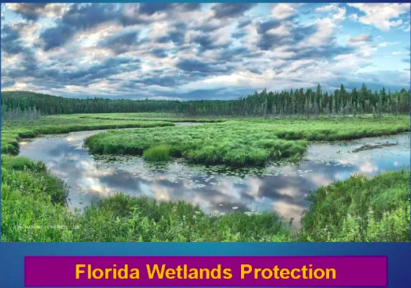 Florida Wetlands Protection