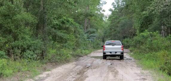 Movie: Little pothole, 10:34:37, 31.0429443, -83.0426271 (22M)