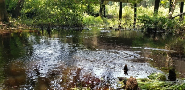 [Franks Creek @ Franks Creek Road 2021-07-25]