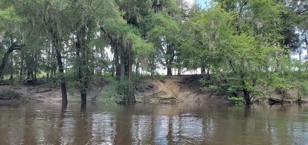 [Eroded riverbank, 14:24:25, 30.6056357, -83.2650578]