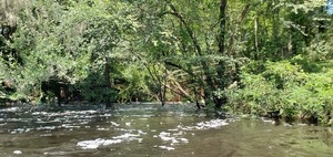 [Bridge over Jumping Gully Creek, 14:06:46, 30.6224745, -83.2693107]