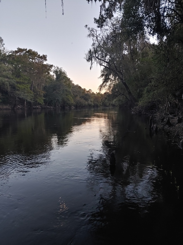 [Cleary Bluff, Withlacoochee River @ NE Withla Bluffs Way 2021-10-13]