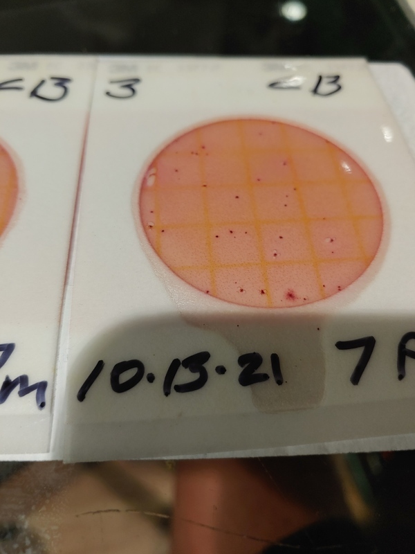 Plate3, Cleary Bluff 2021-10-13