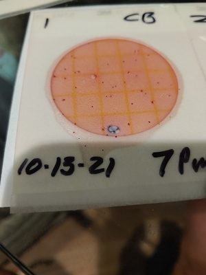 [Plate1, Cleary Bluff 2021-10-13]