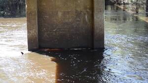 [Movie: Nankin Boat Ramp, Withlacoochee River @ Clyattville-Nankin Road 2021-10-14]