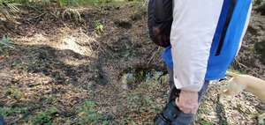 [Tiny sinkhole, 15:13:15, 30.5837308, -83.0528334]