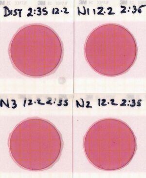 [Plates, Nankin Boat Ramp 2021-12-02]