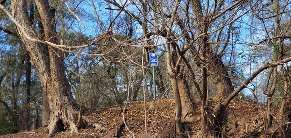 [Suwannee River Water Management District Vertical Control, Please do not disturb, 11:38:59, 30.5529031, -82.7209510]