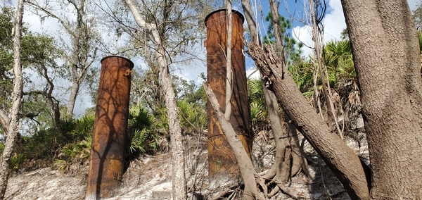 Lally columns, 13:52:06, 30.5246480, -82.7277260