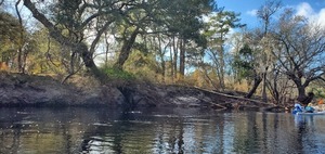[Wrested vegetation and deadfalls, 11:44:18, 30.5511339, -82.7218809]