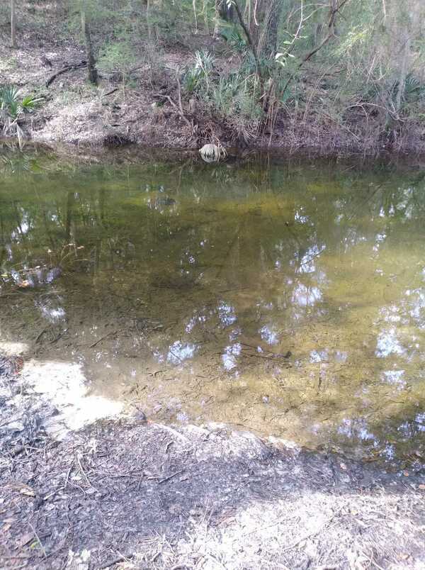 Also the Sullivan Slough