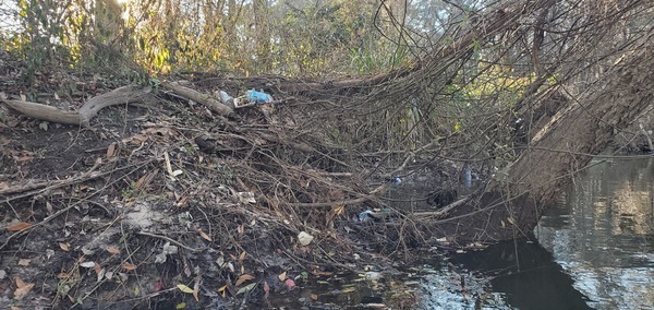 Trash at all water levels, 16:52:18, 30.8633283, -83.3194494