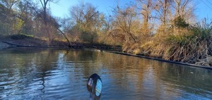 [To west side, 16:16:09, 30.8626234, -83.3187148]