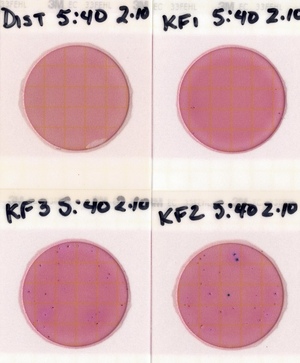 [Plates, Knights Ferry Boat Ramp 2022-02-10]
