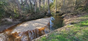 [Downstream, 16:02:35, 30.8635022, -83.3019715]
