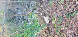 [Trash, VSU, 16:28:34, 30.8667047, -83.2865939]