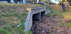 [North along upstream bridge, 17:03:10, 30.8692230, -83.2784697]