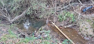 [Trash in Three Mile Branch, 17:25:25, 30.8759386, -83.2944129]